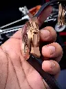 Jacob & Co. Skull Double Tourbillon 